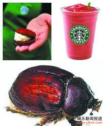 星巴克用虫当着色剂被抗议 可致哮喘患者过敏(图) 星巴克用虫当着色剂被抗议 可致哮喘患者过敏(图)